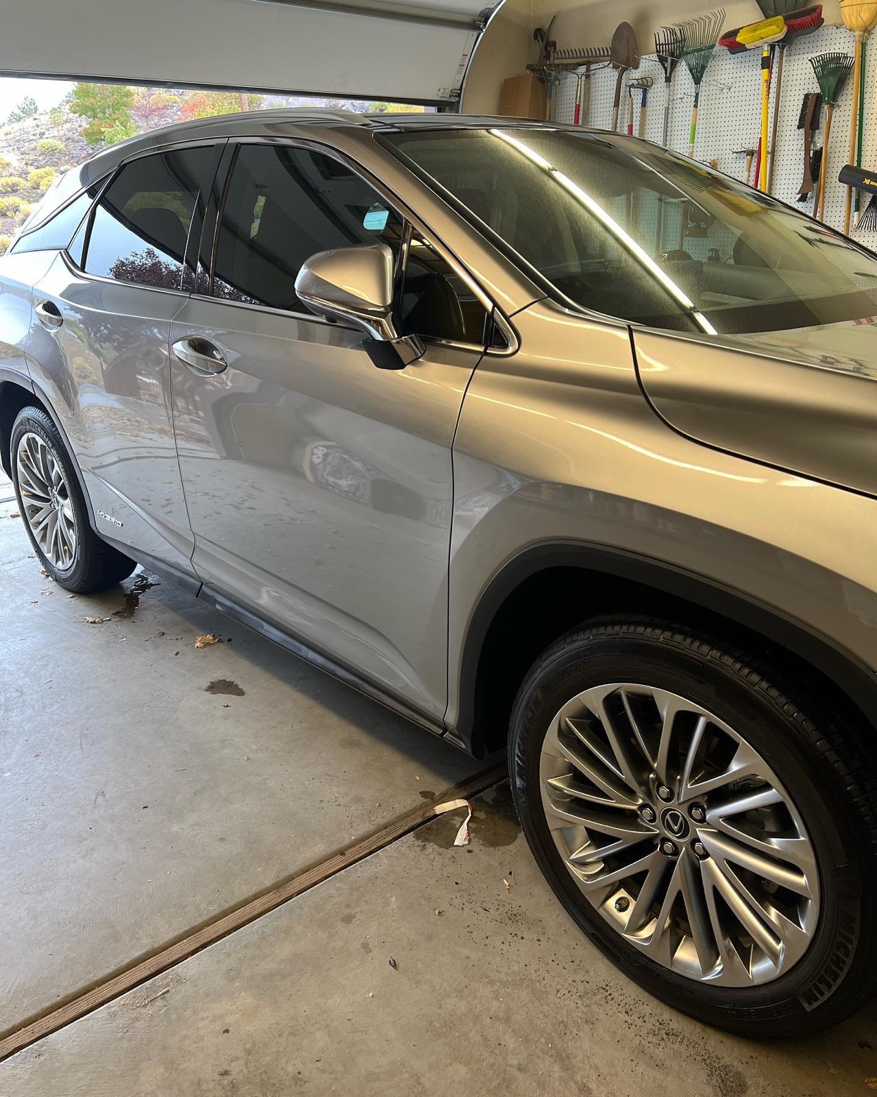 Lexus RX side profile after a full detail