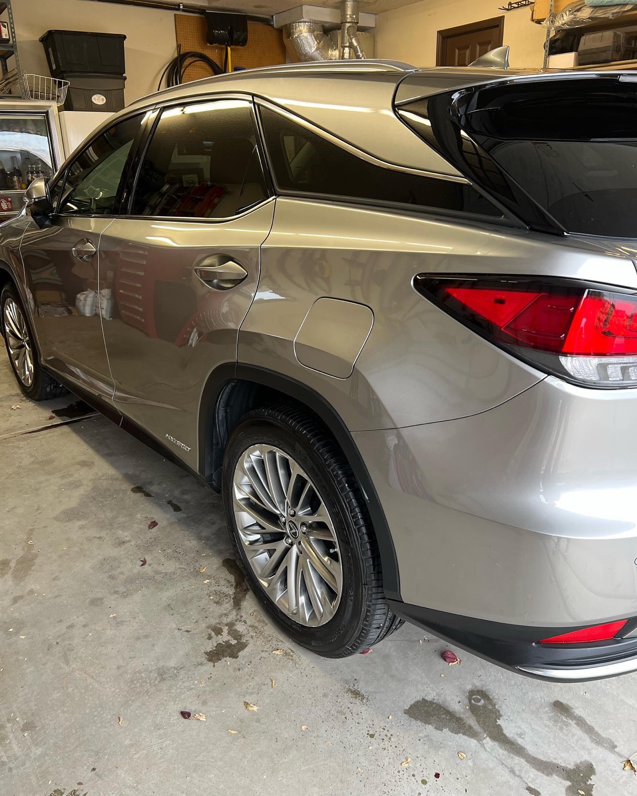 Lexus RX rear three-quarter, glossy paint