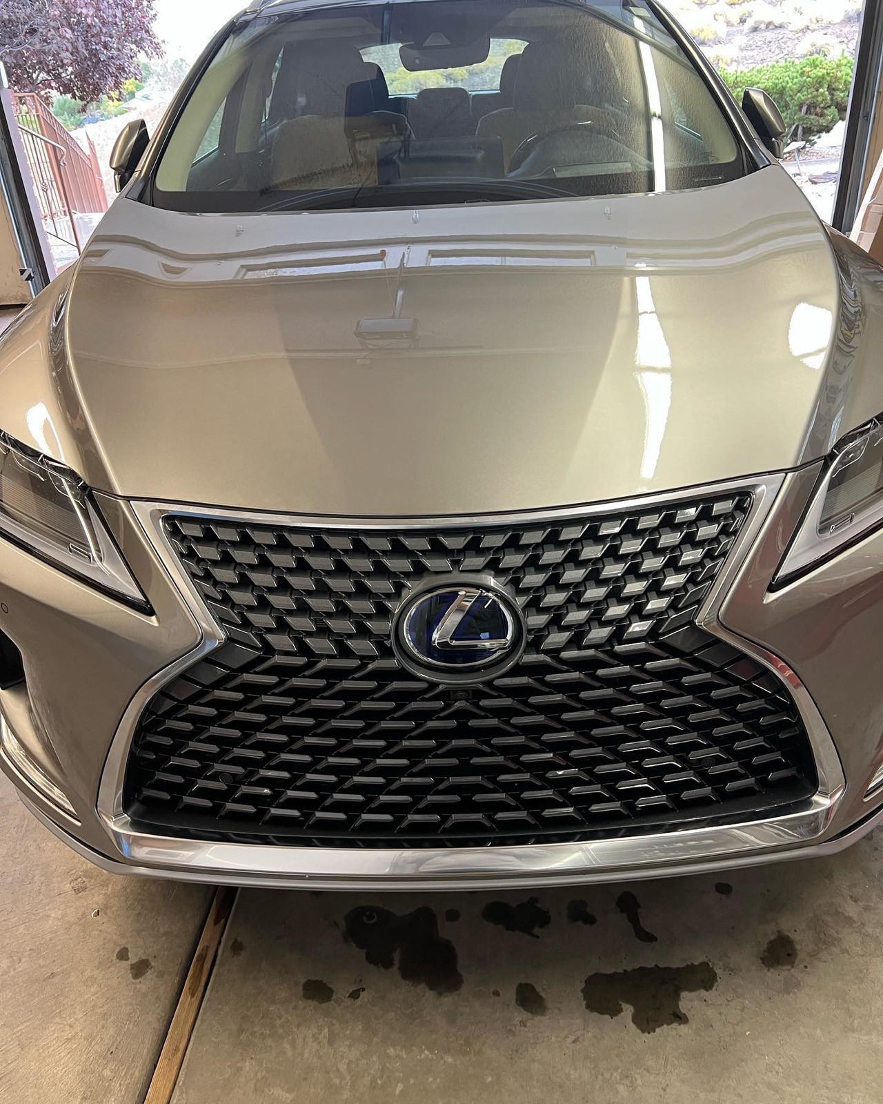 Lexus RX front grille after detailing